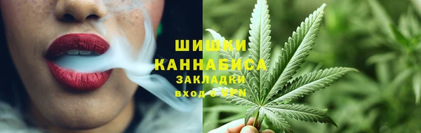 дмт Арсеньев