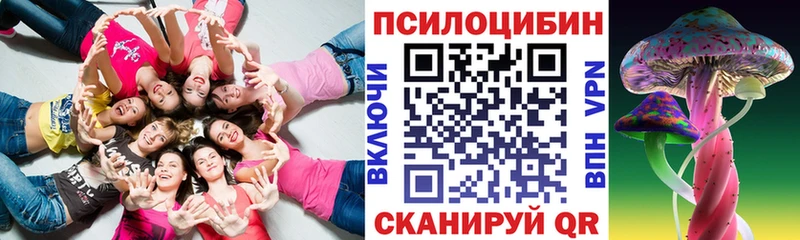 Купить где  Плавск  Галлюциногенные грибы мицелий 